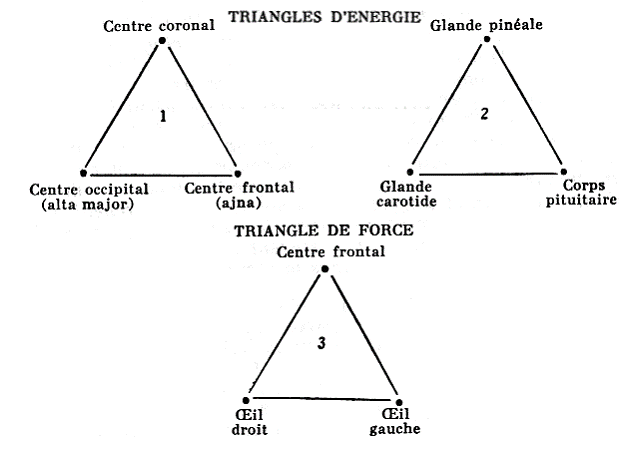 trois centres céphaliques